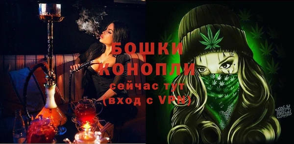 спайс Богданович