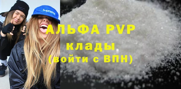 спайс Богданович